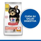 Hill’s Science Plan Perfect Digestion Puppy Small & Mini Pollo y Arroz pienso para perros, , large image number null